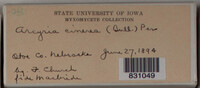 Image Associated With the Occurence
